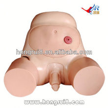 ISO Featured Male Urethral Catheterization Model,catheterization simulator